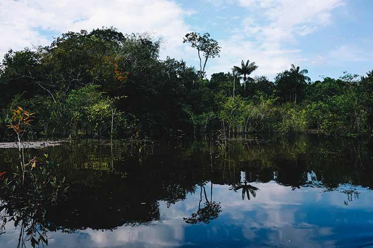 Manaus, AM ecoturismo
