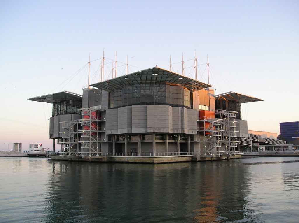 Oceanário em Lísboa Diversão e Educação Ambiental