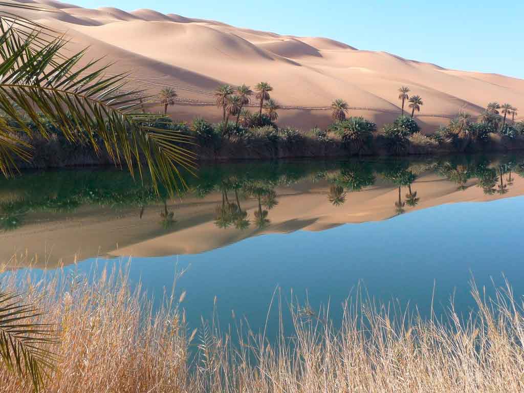 Onde fica o deserto do saara visitar oasis