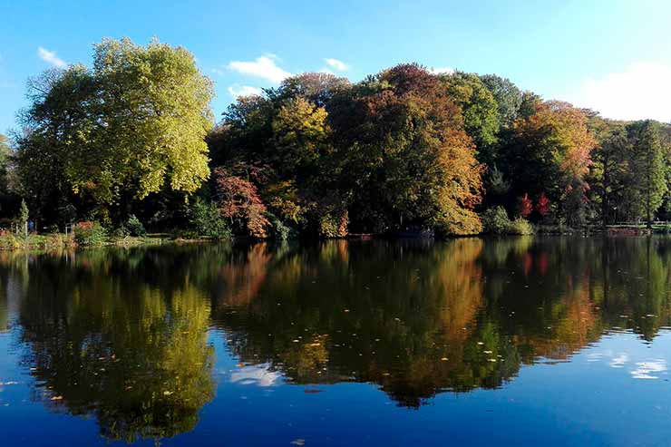 Rombergpark - Cidade de Dortmund