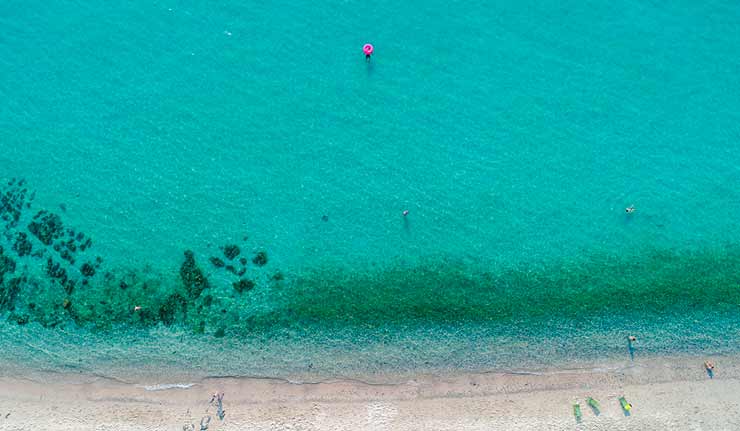 Roteiro Milos Alogomantra