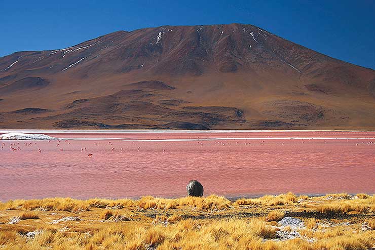 Laguna Colorada