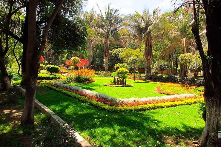 Jardim Botânico