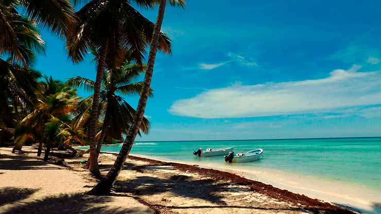 Ilha Saona: indicações de passeios, atrações e dicas de roteiros